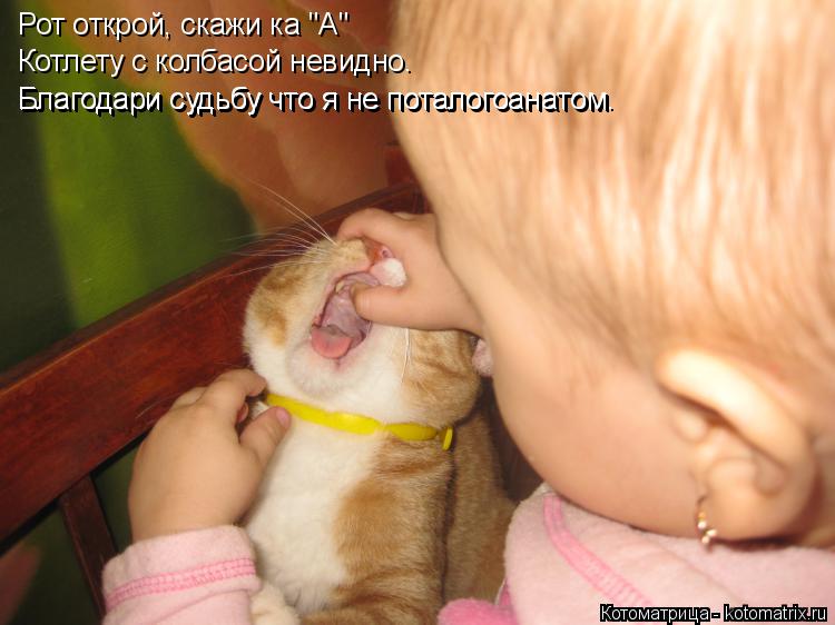 Котоматрица: Рот открой, скажи ка "А" Котлету с колбасой невидно. Благодари судьбу что я не поталогоанатом Благодари судьбу что я не поталогоанатом.