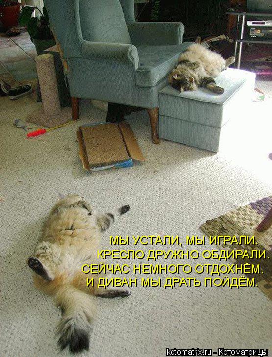 МЫ УСТАЛИ, МЫ ИГРАЛИ. КРЕСЛО ДРУЖНО ОБДИРАЛИ. СЕЙЧАС НЕМНОГО ОТДОХНЁМ. И ДИВАН МЫ ДРАТЬ ПОЙДЁМ.... Котоматрица: МЫ УСТАЛИ, МЫ ИГРАЛИ. КРЕСЛО ДРУЖНО ОБДИРАЛИ. СЕЙЧАС НЕМНОГО ОТДОХНЁМ. И ДИВАН МЫ ДРАТЬ ПОЙДЁМ.