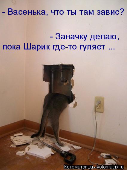 - Васенька, что ты там завис? - Заначку делаю, пока Шарик где-то гуляет ...... Котоматрица: - Васенька, что ты там завис? - Заначку делаю, пока Шарик где-то гуляет ...