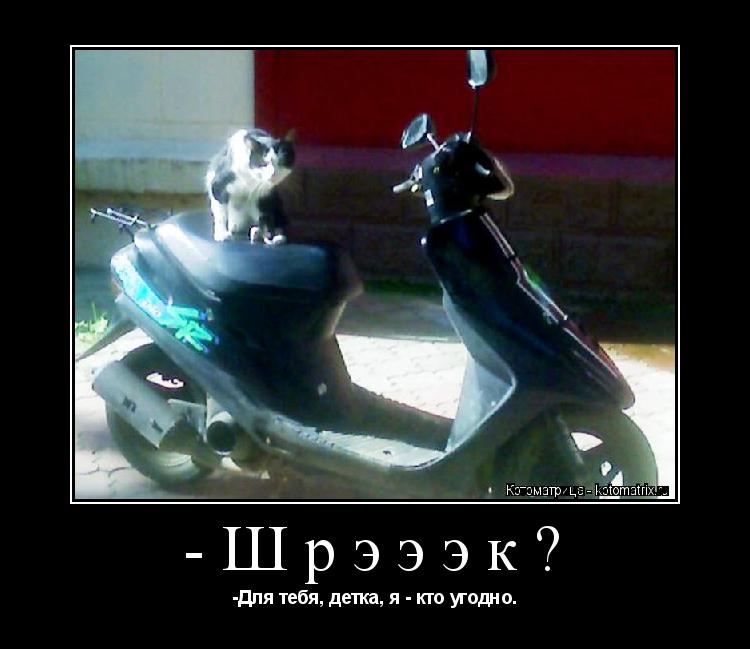 Котоматрица: -Шрэээк? -Для тебя, детка, я - кто угодно.