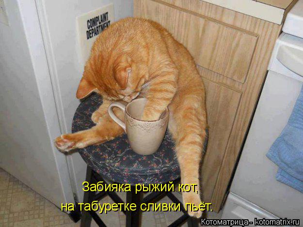 Котоматрица: Забияка рыжий кот,  на табуретке сливки пьёт.