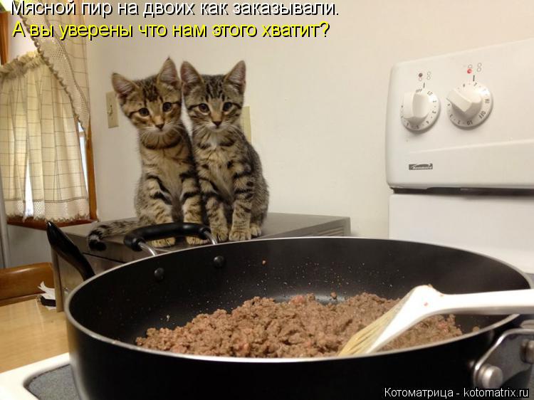 Котоматрица: Мясной пир на двоих как заказывали. А вы уверены что нам этого хватит?