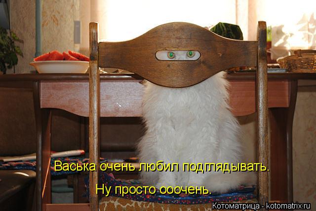 Котоматрица: Васька очень любил подглядывать. Ну просто ооочень.