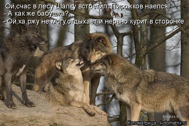 Ой,счас в лесу Шапку встретил..Пирожков наелся! - А как же бабушка?.. - Ой,ха,ржу не могу,отдыхает и ... Котоматрица: Ой,счас в лесу Шапку встретил..Пирожков наелся! - А как же бабушка?.. - Ой,ха,ржу не могу,отдыхает и нервно курит в сторонке