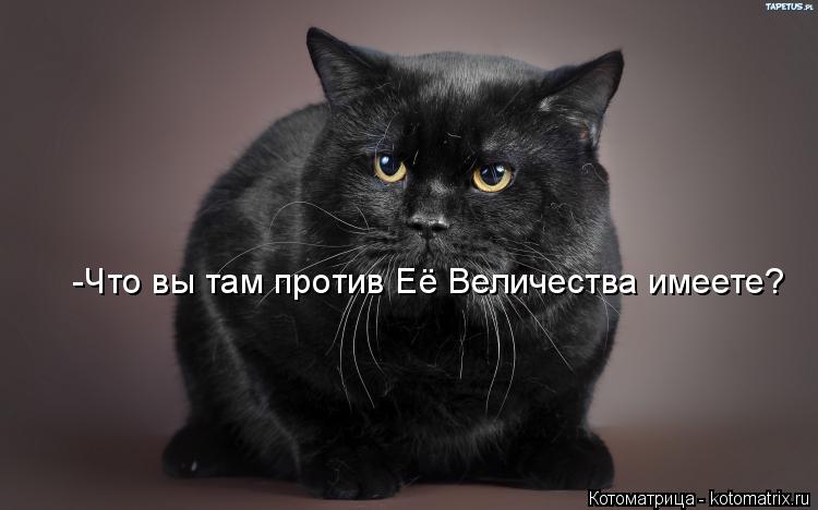 -Что вы там против Её Величества имеете?... Котоматрица: -Что вы там против Её Величества имеете?