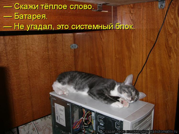 Котоматрица: — Скажи тёплое слово. — Батарея. — Не угадал, это системный блок.