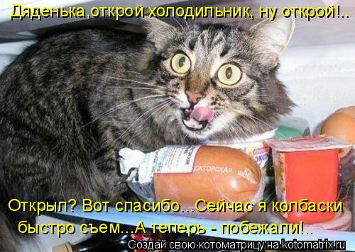 Котоматрица: Дяденька,открой холодильник, ну открой!.. Открыл? Вот спасибо...Сейчас я колбаски  быстро съем...А теперь - побежали!..