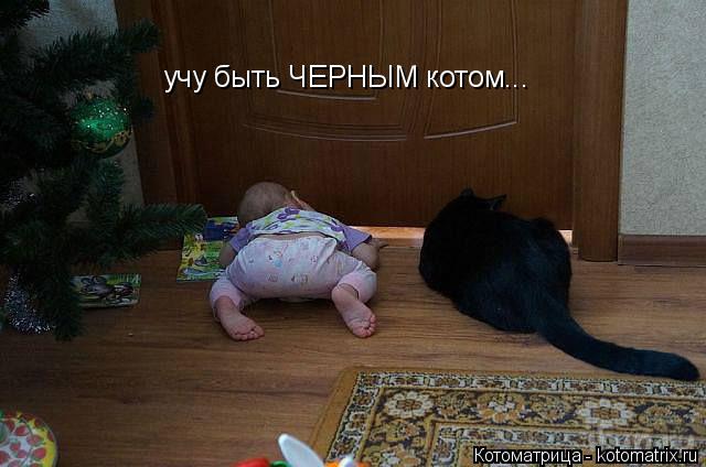 Котоматрица: учу быть ЧЕРНЫМ котом...