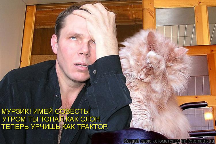 Котоматрица: МУРЗИК! ИМЕЙ СОВЕСТЬ!  УТРОМ ТЫ ТОПАЛ КАК СЛОН.  ТЕПЕРЬ УРЧИШЬ КАК ТРАКТОР.