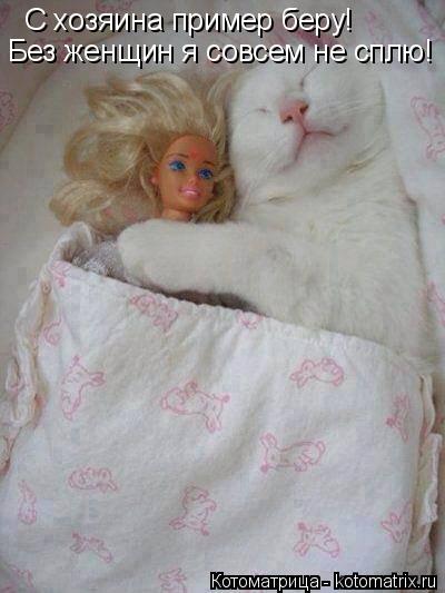 Котоматрица: С хозяина пример беру! С хозяина пример беру! Без женщин я совсем не сплю!
