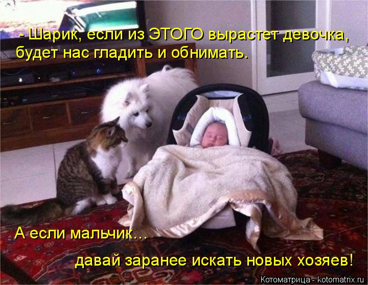 - Шарик, если из ЭТОГО вырастет девочка, будет нас гладить и обнимать. А если мальчик… давай заран... Котоматрица: - Шарик, если из ЭТОГО вырастет девочка, будет нас гладить и обнимать. А если мальчик… давай заранее искать новых хозяев!