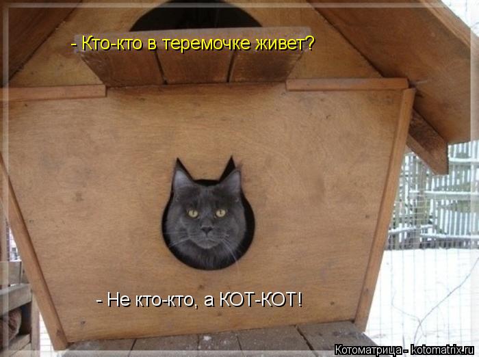 - Не кто-кто, а КОТ-КОТ! - Кто-кто в теремочке живет?... Котоматрица: - Не кто-кто, а КОТ-КОТ! - Кто-кто в теремочке живет?