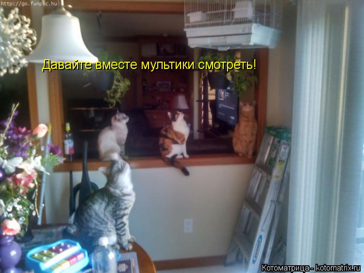 Котоматрица: Давайте вместе мультики смотреть!