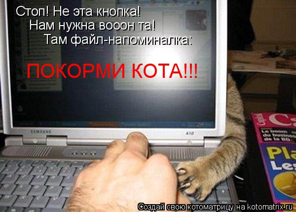 Котоматрица: Стоп! Не эта кнопка!  Нам нужна вооон та! Там файл-напоминалка: ПОКОРМИ КОТА!!!