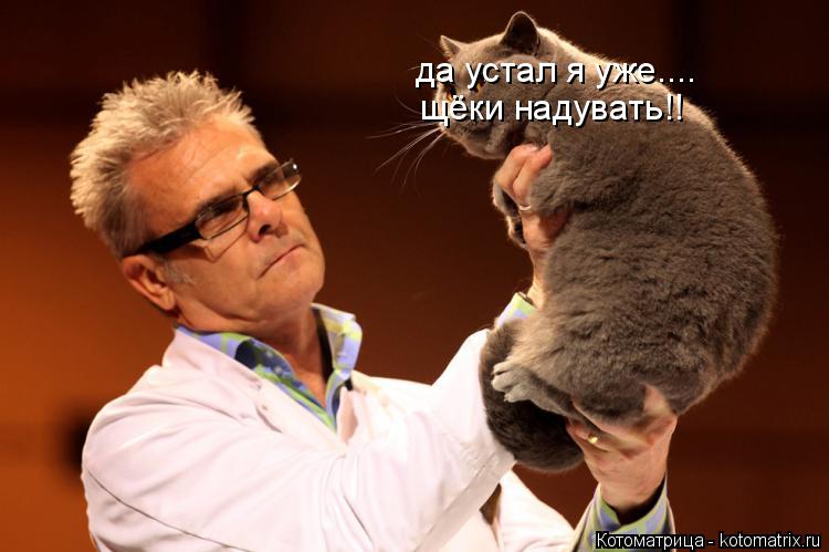 да устал я уже.... щёки надувать!!... Котоматрица: да устал я уже.... щёки надувать!!