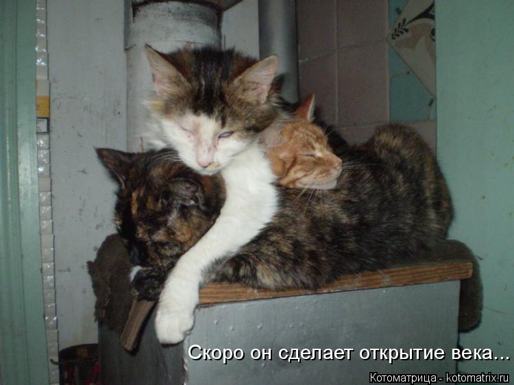 Котоматрица: Скоро он сделает открытие века...
