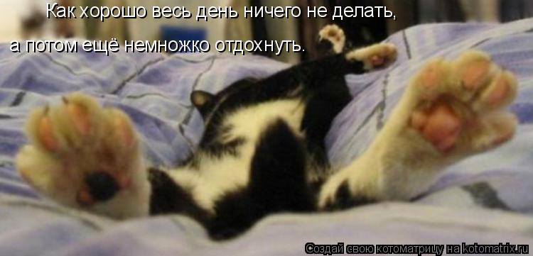 Котоматрица: Как хорошо весь день ничего не делать, а потом ещё немножко отдохнуть.