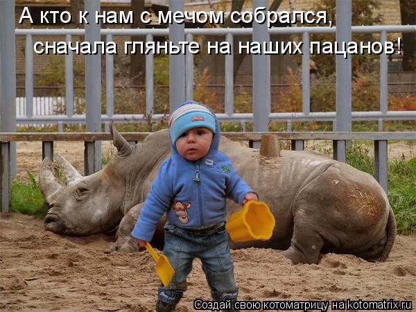 Котоматрица: А кто к нам с мечом собрался, сначала гляньте на наших пацанов!