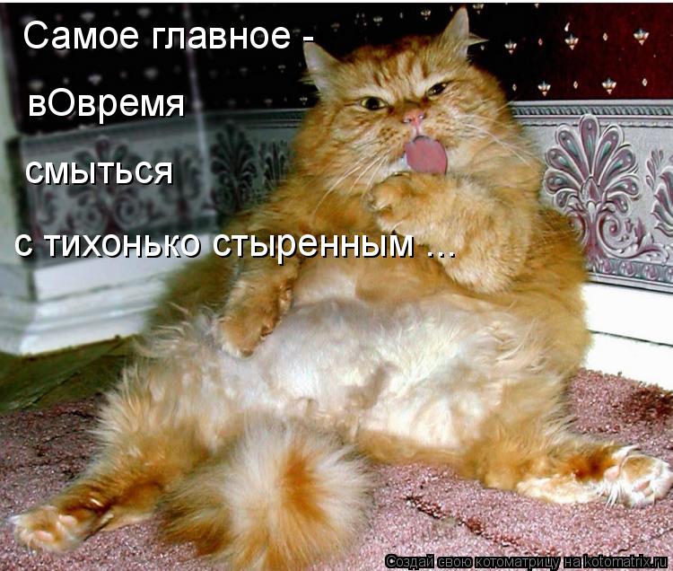 с тихонько стыренным ... Самое главное - вОвремя смыться... Котоматрица: с тихонько стыренным ... Самое главное - вОвремя смыться