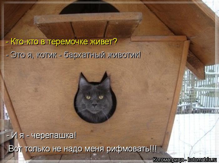 - Кто-кто в теремочке живет? - Это я, котик - бархатный животик! - И я - черепашка! Вот только не над... Котоматрица: - Кто-кто в теремочке живет? - Это я, котик - бархатный животик! - И я - черепашка! Вот только не надо меня рифмовать!!!
