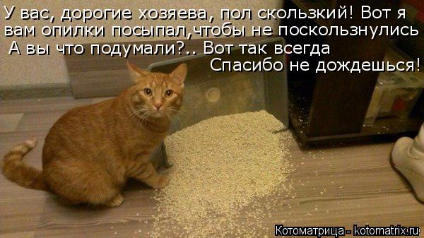 вам опилки посыпал,чтобы не поскользнулись У вас, дорогие хозяева, пол скользкий! Вот я А вы что поду... Котоматрица: вам опилки посыпал,чтобы не поскользнулись У вас, дорогие хозяева, пол скользкий! Вот я А вы что подумали?.. Вот так всегда Спасибо не дождеш