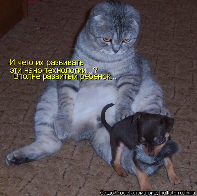 Котоматрица: -И чего их развивать эти нано-технологии...? Вполне развитый ребёнок...