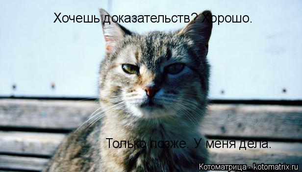 Котоматрица: Хочешь доказательств? Хорошо. Только позже. У меня дела.