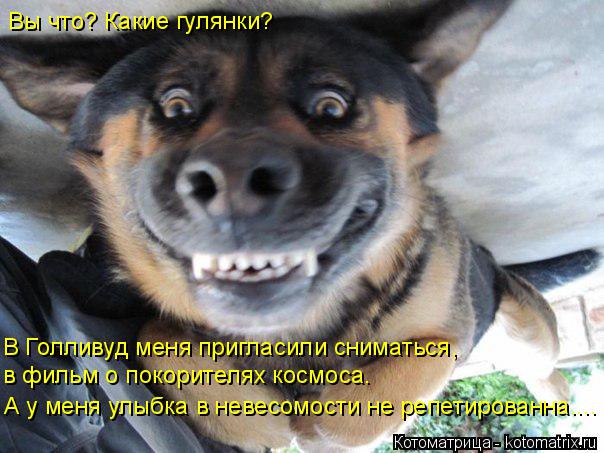 Вы что? Какие гулянки? В Голливуд меня пригласили сниматься, в фильм о покорителях космоса. А у меня ... Котоматрица: Вы что? Какие гулянки? В Голливуд меня пригласили сниматься, в фильм о покорителях космоса. А у меня улыбка в невесомости не репетированна....