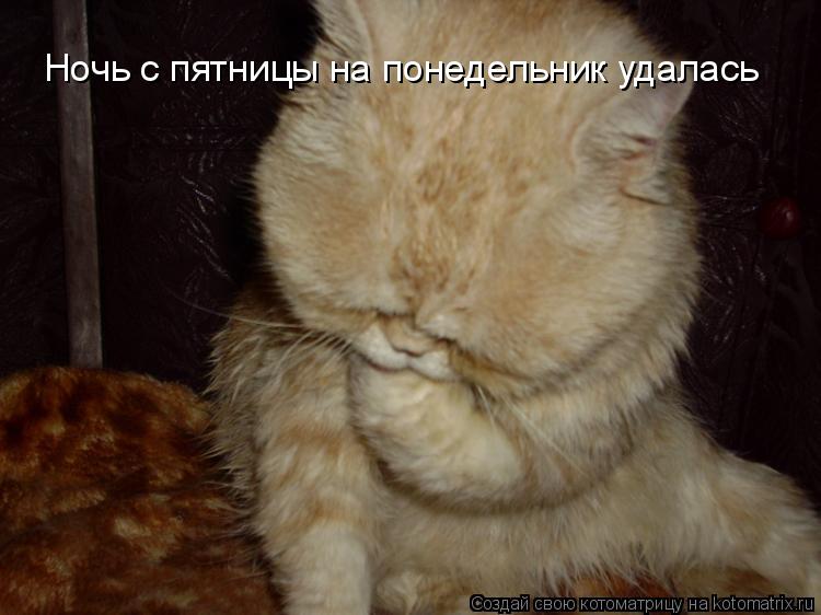 Котоматрица: Ночь с пятницы на понедельник удалась