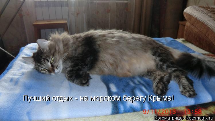 Лучший отдых - на морском берегу Крыма!... Котоматрица: Лучший отдых - на морском берегу Крыма!