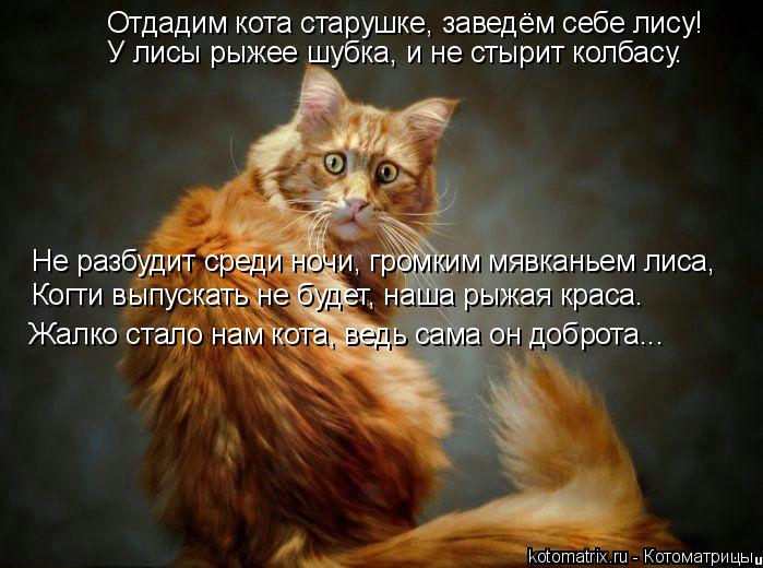 Котоматрица: Отдадим кота старушке, заведём себе лису! У лисы рыжее шубка, и не стырит колбасу. Не разбудит среди ночи, громким мявканьем лиса, Когти выпу