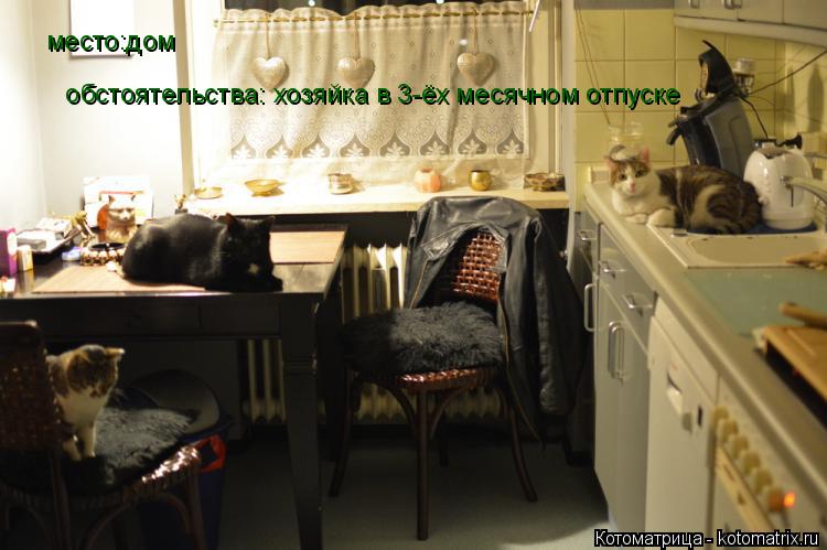 Котоматрица: место:дом  обстоятельства: хозяйка в 3-ёх месячном отпуске