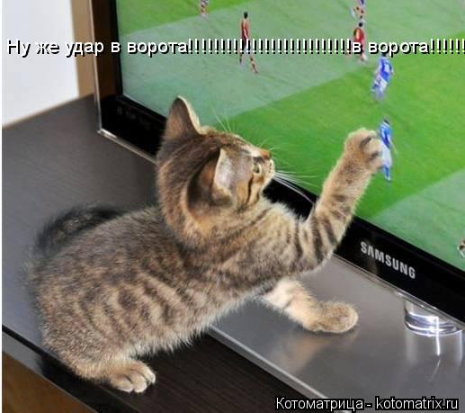 Котоматрица: Ну же удар в ворота!!!!!!!!!!!!!!!!!!!!!!!!!!в ворота!!!!!!!!!!!!!!!1