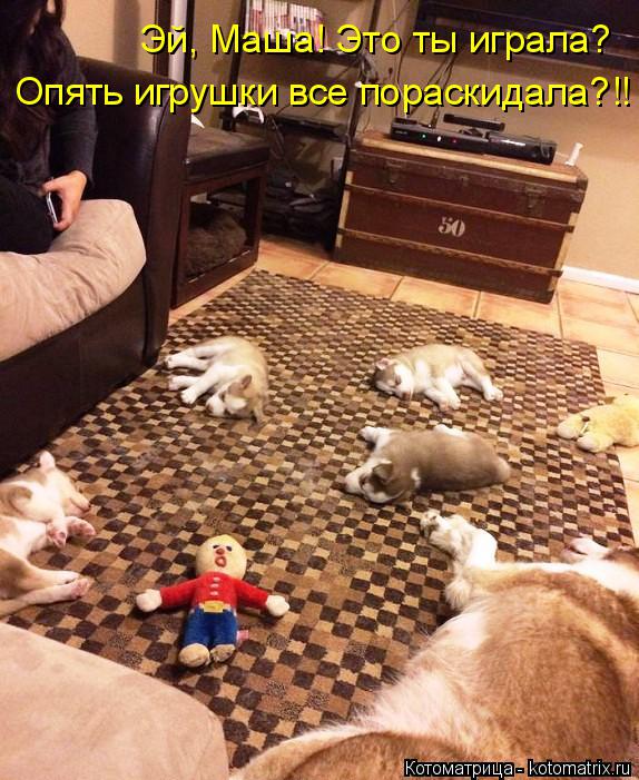 Опять игрушки все пораскидала?!! Эй, Маша! Это ты играла?... Котоматрица: Опять игрушки все пораскидала?!! Эй, Маша! Это ты играла?