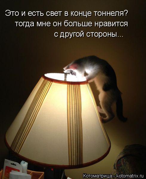 Это и есть свет в конце тоннеля? тогда мне он больше нравится с другой стороны...... Котоматрица: Это и есть свет в конце тоннеля? тогда мне он больше нравится с другой стороны...