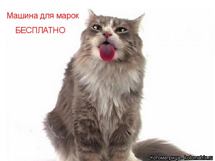 Котоматрица: Машина для марок БЕСПЛАТНО