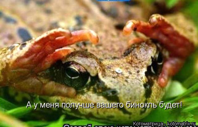 Котоматрица: А у меня получше вашего бинокль будет!