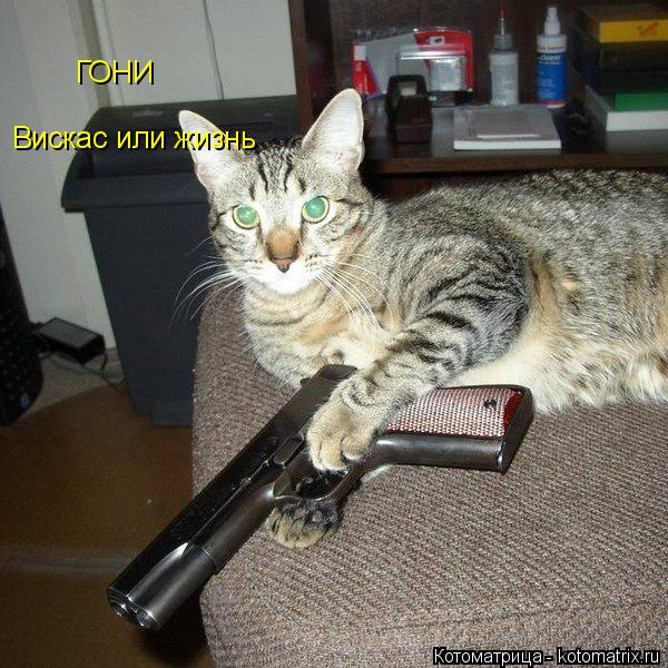 Вискас или жизнь ГОНИ... Котоматрица: Вискас или жизнь ГОНИ