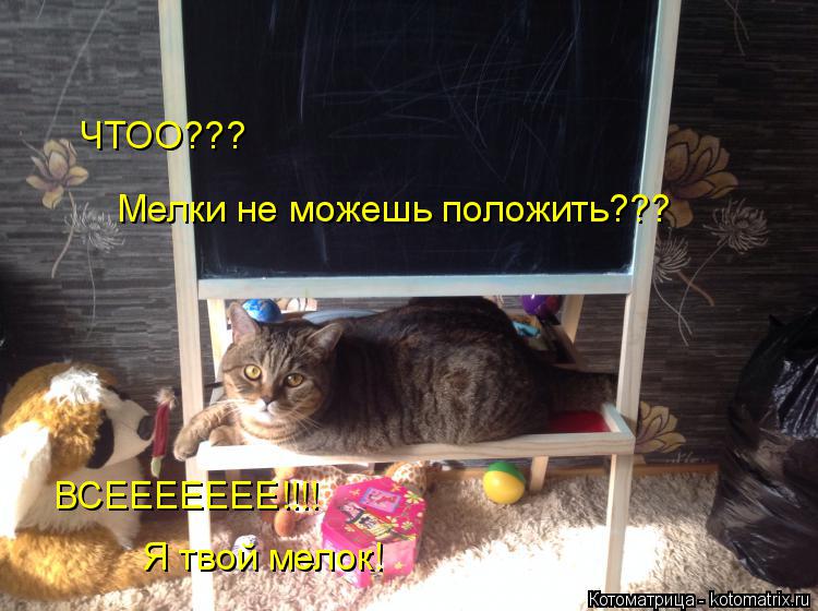 ЧТОО??? Мелки не можешь положить??? ВСЕЕЕЕЕЕЕ!!!! Я твой мелок!... Котоматрица: ЧТОО??? Мелки не можешь положить??? ВСЕЕЕЕЕЕЕ!!!! Я твой мелок!
