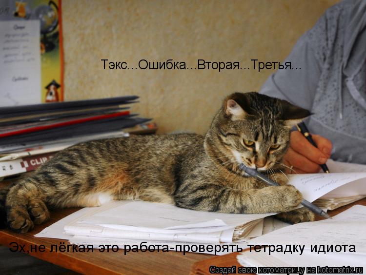Котоматрица: Тэкс...Ошибка...Вторая...Третья... Эх,не лёгкая это работа-проверять тетрадку идиота