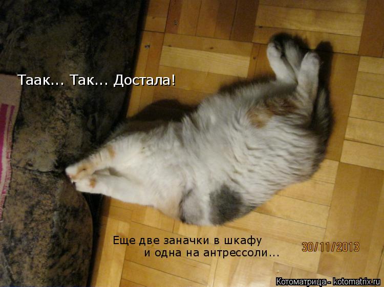 Таак... Так... Достала! Еще две заначки в шкафу и одна на антрессоли...... Котоматрица: Таак... Так... Достала! Еще две заначки в шкафу и одна на антрессоли...