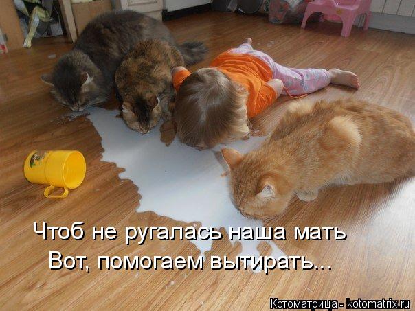 Чтоб не ругалась наша мать Вот, помогаем вытирать...... Котоматрица: Чтоб не ругалась наша мать Вот, помогаем вытирать...
