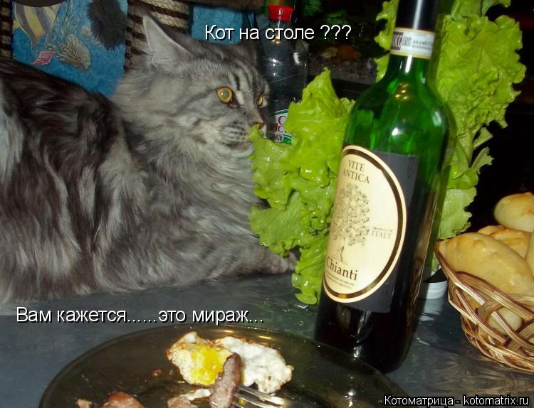 Кот на столе ??? Вам кажется......это мираж...... Котоматрица: Кот на столе ??? Вам кажется......это мираж...