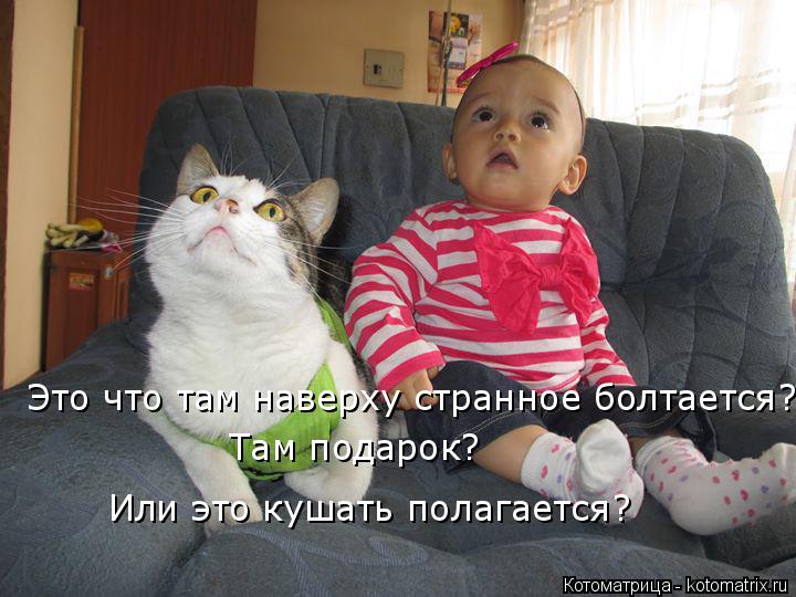 Это что там наверху странное болтается? Там подарок? Или это кушать полагается?... Котоматрица: Это что там наверху странное болтается? Там подарок? Или это кушать полагается?