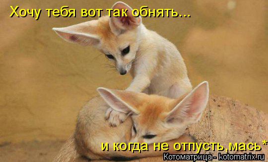 Хочу тебя вот так обнять... и когда не отпусть,мась*... Котоматрица: Хочу тебя вот так обнять... и когда не отпусть,мась*