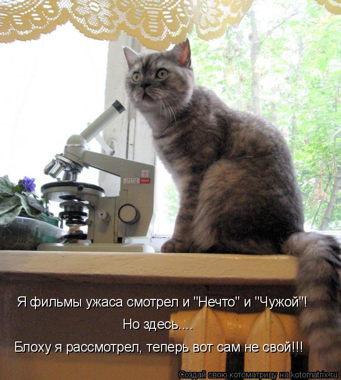 Котоматрица: Я фильмы ужаса смотрел и "Нечто" и "Чужой"! Блоху я рассмотрел, теперь вот сам не свой!!! Но здесь....