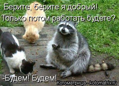 Берите, берите я добрый! Только потом работать будете? -Будем! Будем!... Котоматрица: Берите, берите я добрый! Только потом работать будете? -Будем! Будем!