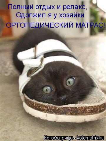 Полный отдых и релакс, Одолжил я у хозяйки ОРТОПЕДИЧЕСКИЙ МАТРАС!... Котоматрица: Полный отдых и релакс, Одолжил я у хозяйки ОРТОПЕДИЧЕСКИЙ МАТРАС!