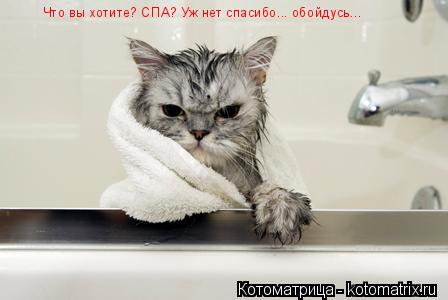Что вы хотите? СПА? Уж нет спасибо... обойдусь...... Котоматрица: Что вы хотите? СПА? Уж нет спасибо... обойдусь...