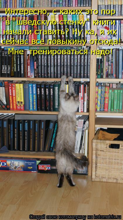 Интересно, с каких это пор в "шведскую стенку" книги начали ставить? Ну ка, я их сейчас все повыки... Котоматрица: Интересно, с каких это пор в "шведскую стенку" книги начали ставить? Ну ка, я их сейчас все повыкину отсюда! Мне тренироваться надо!